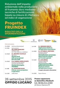 Progetto Fruindex